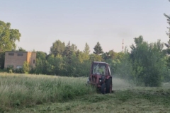 Messenger_creation_77D4FB1D-60C0-4BB0-90F6-CC7D8A30F3D8