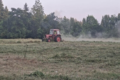 Messenger_creation_D95998E0-5942-4A7E-A7CF-33F6C6093A0C